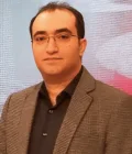 Seyed Ali Shamsa