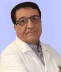 Mahmoud Saeidi