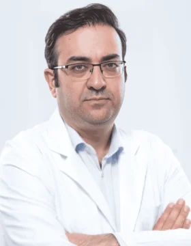Mohammad Hossein Soltani