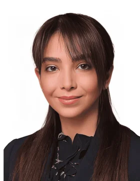 Sarvazad Sotoudeh