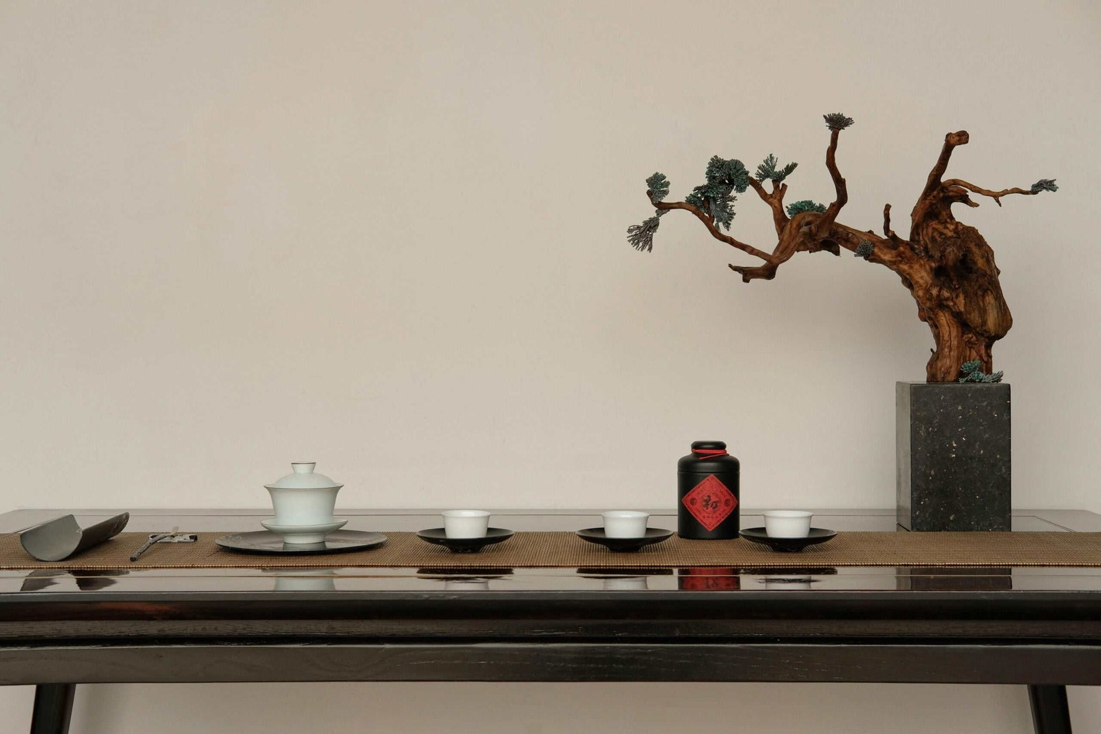 Traditional Chinese Medicine can help treating patients