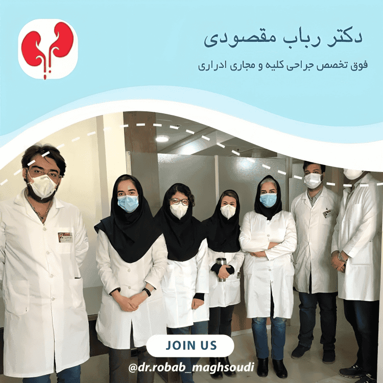 Dr Robab Maghsoudi urologist and fellow in Endourology